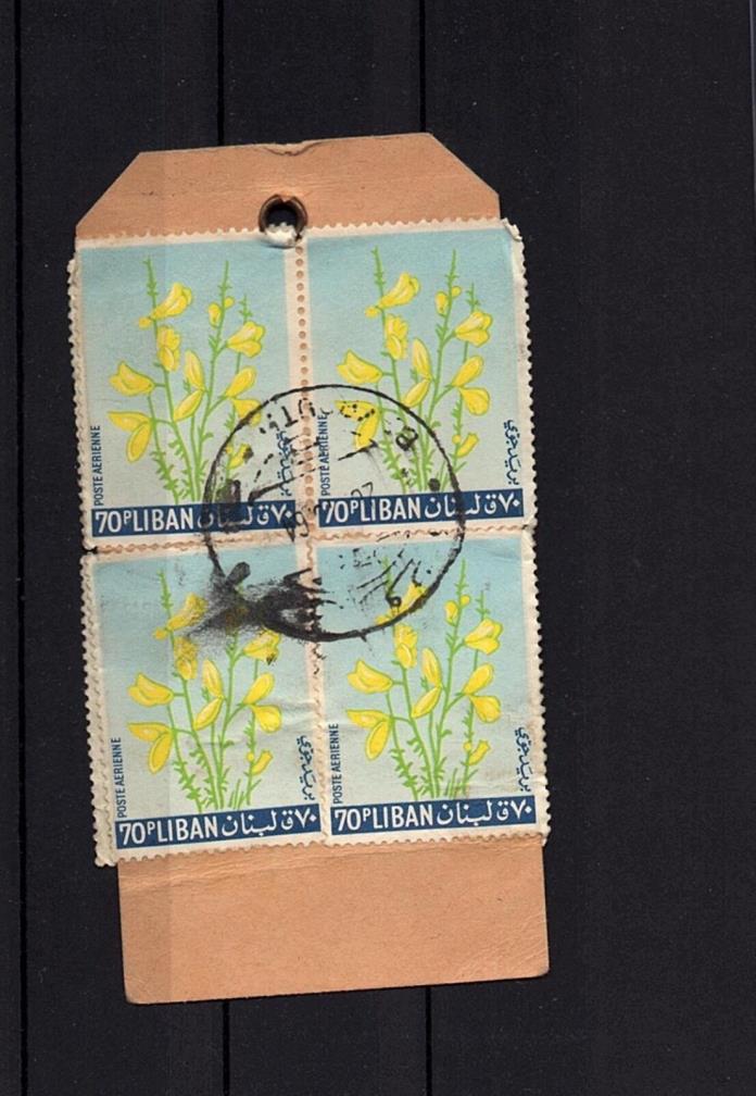 Lebanon Liban - Custom LUGGAGE Cover Used Stamps - RARE -  LOT ( 001)