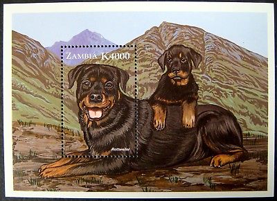 1999 MNH ZAMBIA ROTTWEILER STAMPS SOUVENIR SHEET DOGS OF THE WORLD DOG CANINE