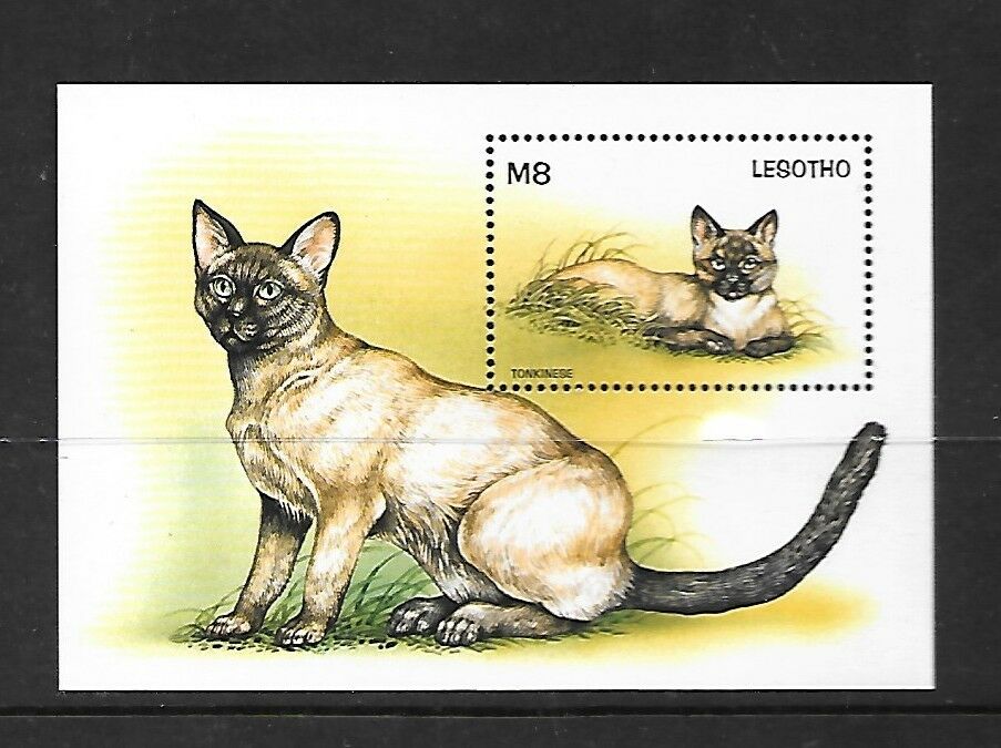 LESOTHO Sc 1106 NH SOUVENIR SHEET - CATS
