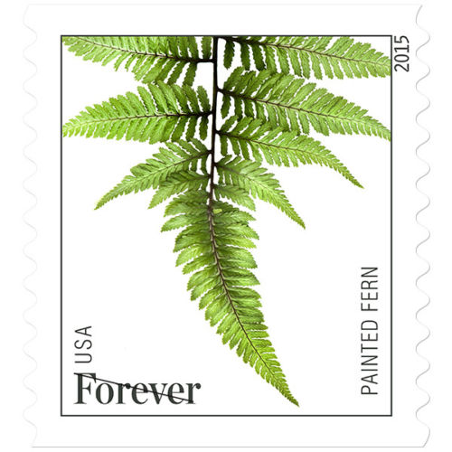 USPS New Ferns Forever Stamp Coil of 3,000 (2015)