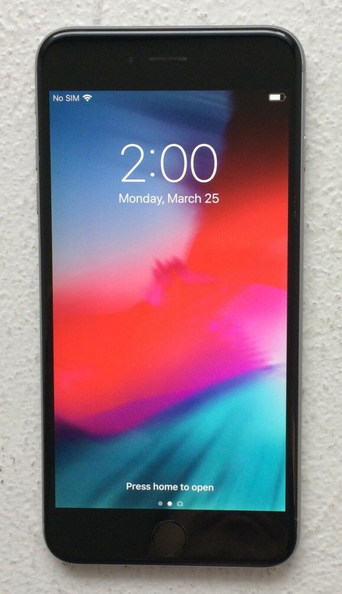 Great Condition Apple iPhone 6 Plus - 64GB - Space Gray (Unlocked)