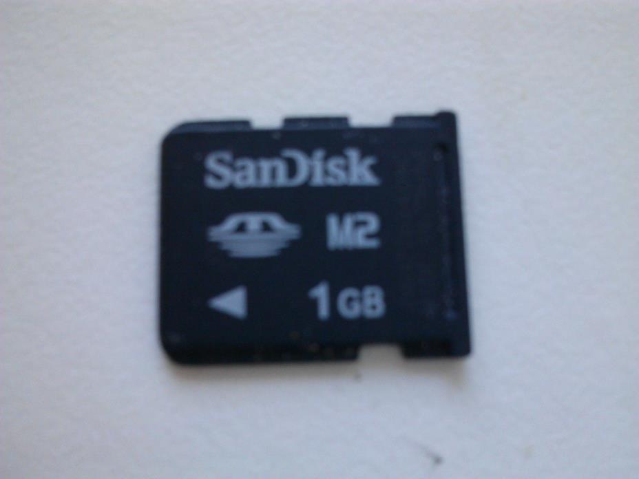 SanDisk 1GB Memory Stick Micro M2 MS Pro Duo 1 GB Memory Card
