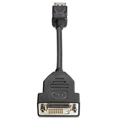 HP FH973AT - DisplayPort to DVI-D Adapter