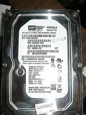 Western Digital 250 GB,Internal,7200 RPM,3.5