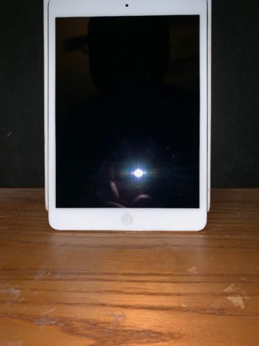 Apple iPad mini 2 16GB, Wi-Fi + Cellular (Verizon), 7.9in - Silver
