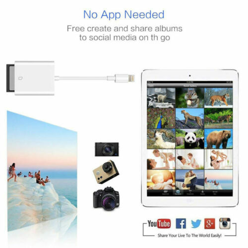 Camera  Adapter  Reader  Tail  For Apple  For iPad  Card Reader Lightning