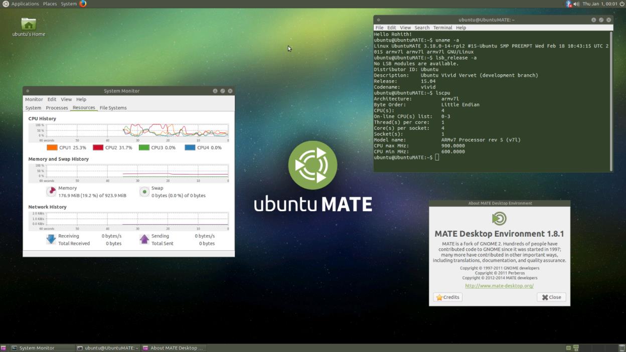 Ubuntu MATE 18.04.1 LTS Bionic Beaver 64-bit Linux OS Live/Install 16 GB USB 3.0