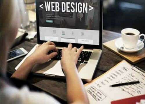 Web Designer Software Developer Computer Programer