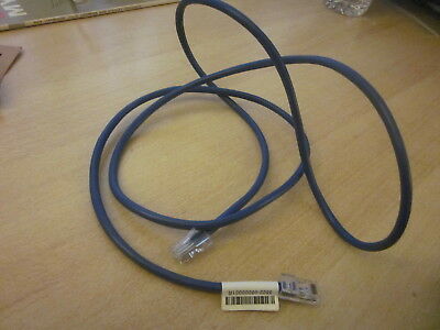 Short Cat 5 Cable, 58