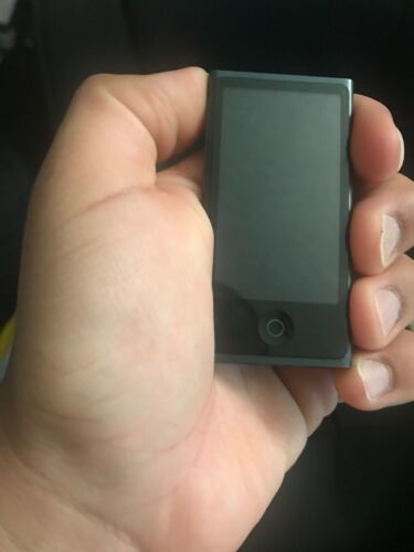 Apple iPod nano 7th Generation Slate (16 GB)