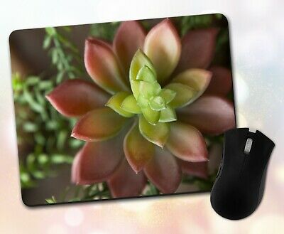 Succulent Phone Case • Green Plant Nature Gift Decor Desk Accessory