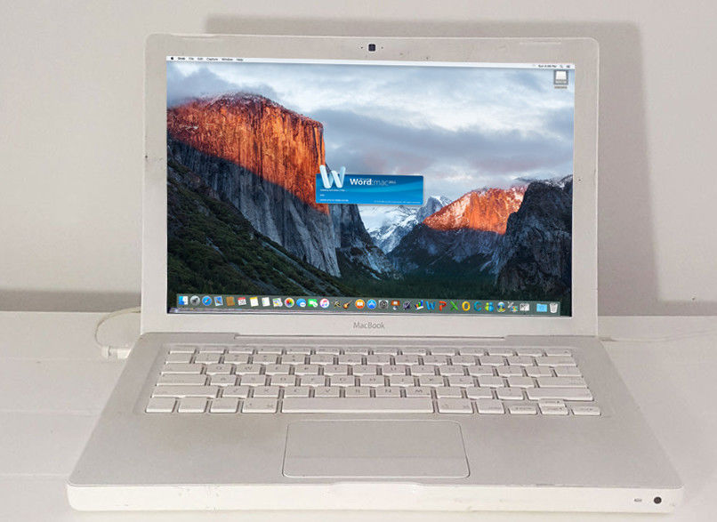 Apple A1181 MacBook 13.3