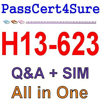Huawei Constructing Data Protection System HCNP H13-623 Exam Q&A+SIM