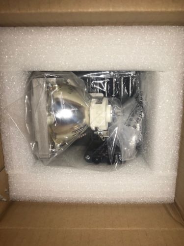 FREE SHIPPING WORLDWIDE ! E-Vision 6900 Digital Projection Lamp Genuine !