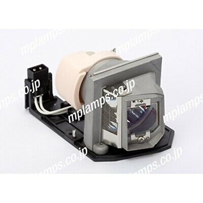 Replacement projector lamp for Optoma SP.8MY01GC01, BL-FP230H