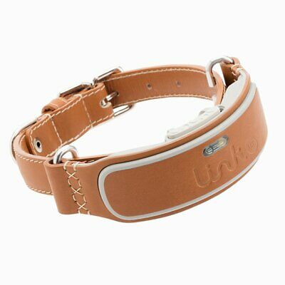 GPS Dog Collar Large Bread Collars Pet Tracking System Activity Monitor Leather