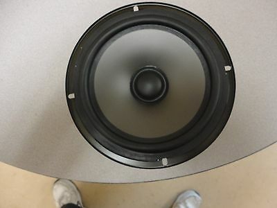 Acoustic Research 8