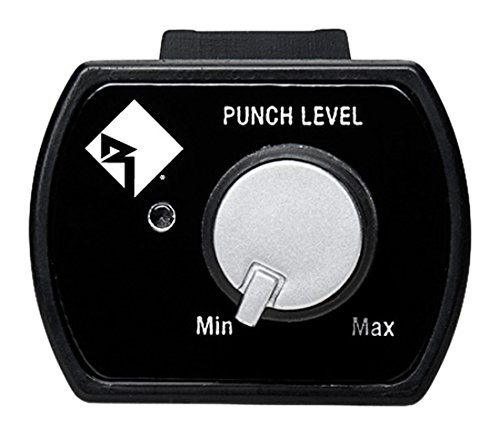 Rockford Punch Remote Level Control
