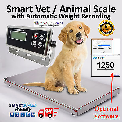 Heavy Duty 750 x 0.2 lb Veterinary or Industrial Freight Scale Livestock Scale