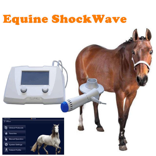 KM63 SmartWave Portable Equine Veterinary Shock Wave Therapy Equipment for Horse