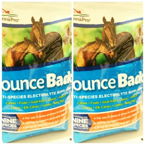 8 lb 2 - 4 lb Bags Horse Poultry MANNA PROBounce Back Electrolyte Supplement