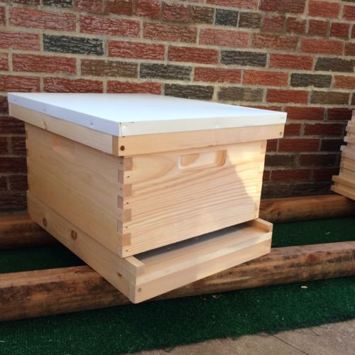10 Frame Bee Hive  Complete  Fully Assembled  , Get Ready For Spring