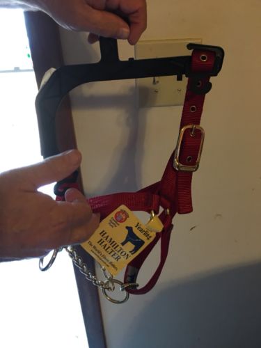 Hamilton Horse Heifer Halter Adjustable Chin With Snap Yearling Control 31C