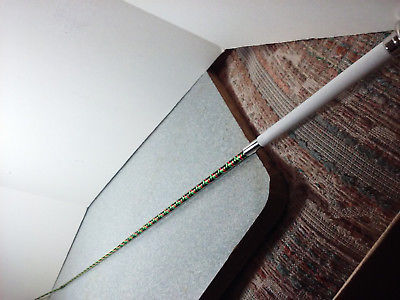 WHIP DELUXE PIG 36