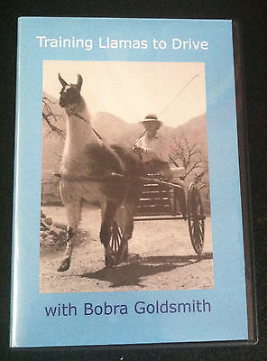 Training Llamas to Drive, with Bobra Goldsmith Llama Carting Driving  DVD New