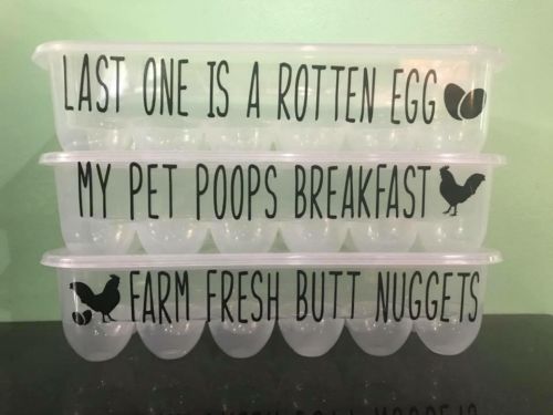 Set Of 3 Plastic Egg Cartons With Quotes.