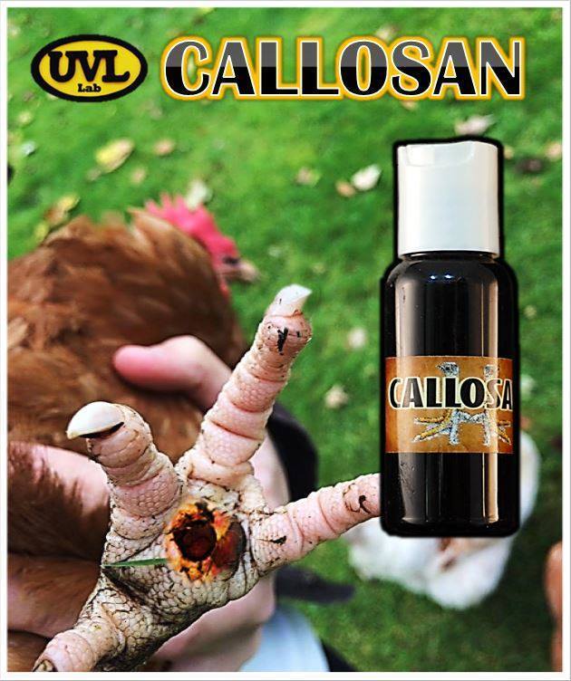 UVL CALLOSAN 30ML (Treats Callus, Bumble Foot on Gallos / Roosters)