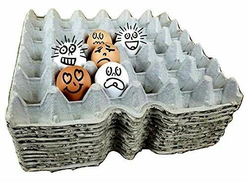 6 filler flats - 5 x 6 Egg Filler Flats - Holds 30 Chicken Eggs, Hatching Eggs