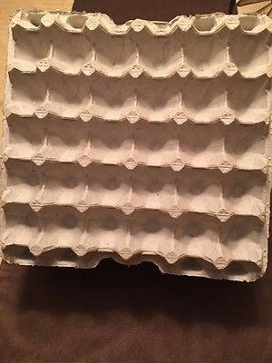 20  EGG CARTON FLATS 30 CT CRAFT, INSECT, SOUND PROOFING, STORAGE, CRAFTS