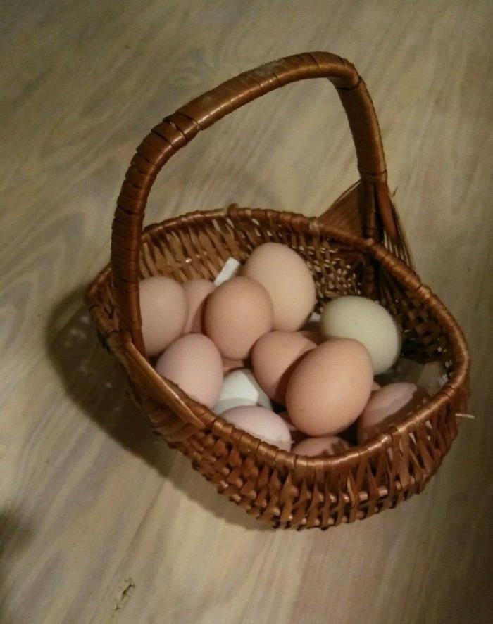 Fertile Chicken Hatching Eggs-Buff Orphington-Barred Rock-Black Australorp-14 ct