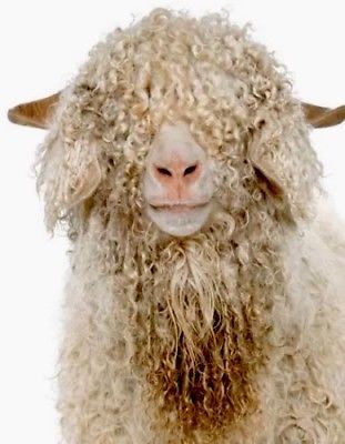 NEW N1J-GM01-76 320W Electric Shearing Sheep Goats Alpaca Farm Clipper Shear
