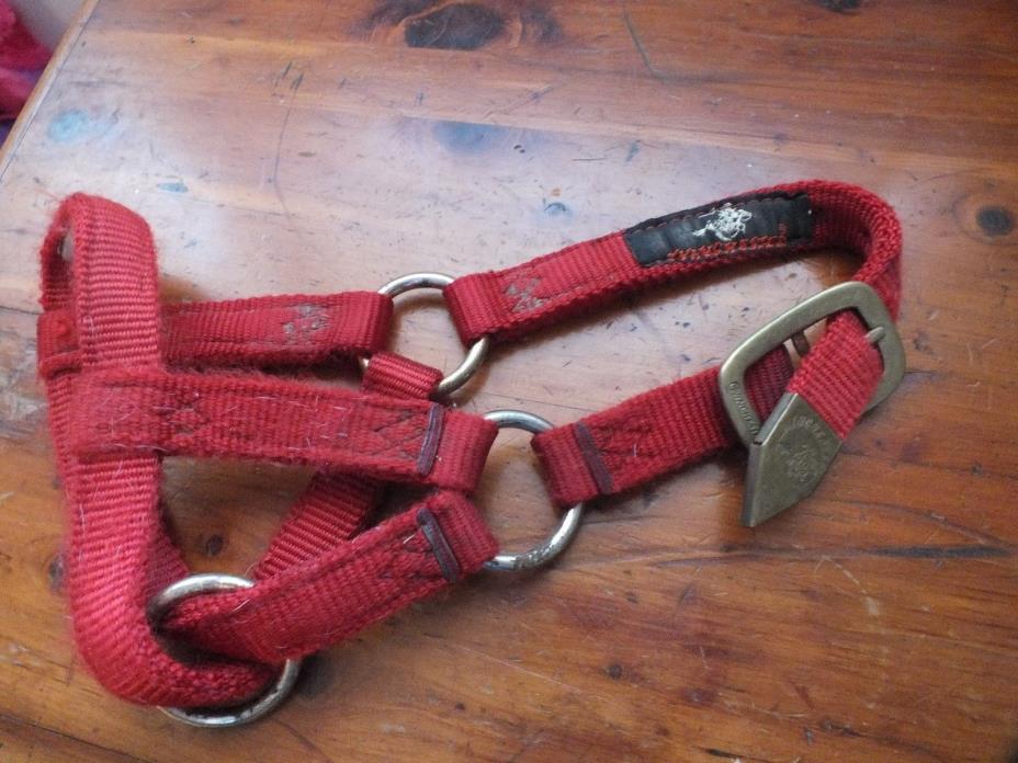 WINCHESTER Livestock RED Nylon Kid Goat Criss Cross Halter