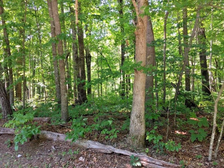 RESIDENTIAL Lot for sale - 2.4 acres-Cumberland Cove, Monterey, TN