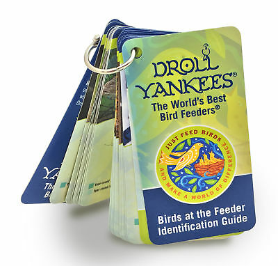 Droll Yankees Birds at the Feeder Identification Guide