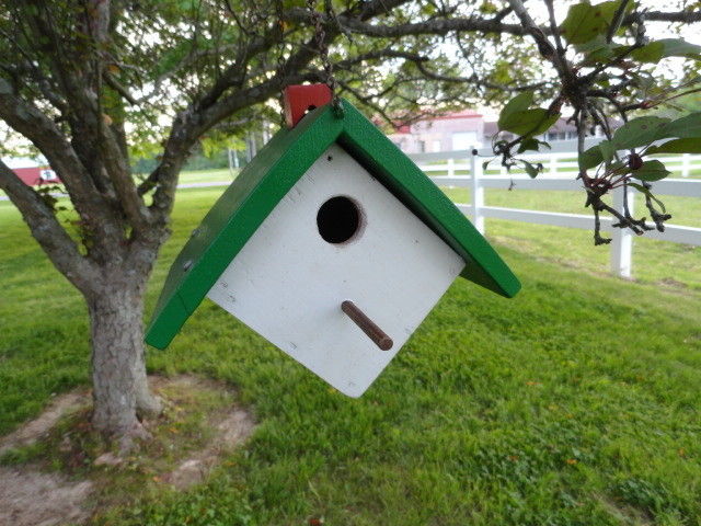 Beautiful Small Handmade Wren Bird House Birdhouse