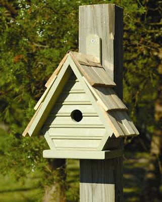 Chick Bird House in Celery  [ID 8983]