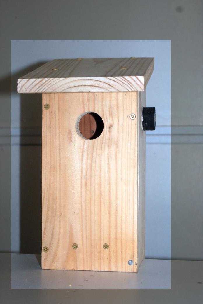 Eastern Bluebird Nest box