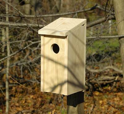 Flicker Bird House in Solid Cypress  [ID 9046]
