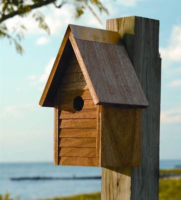 Starter Home Bird House in Mahogany  [ID 9026]