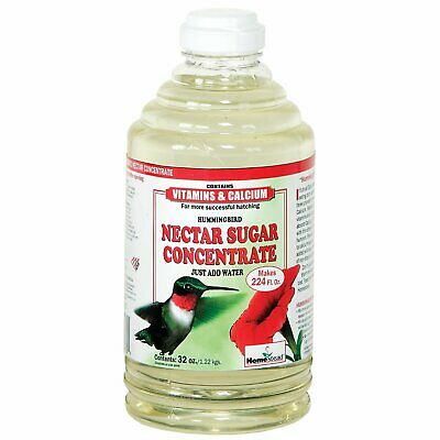Homestead Clear Hummingbird Nectar Sugar Concentrate 32 oz. (4372)