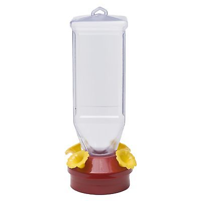LANTERN HUMMINGBIRD FEEDER Hanging Mount Wildlife Supplies Shatterproof Base