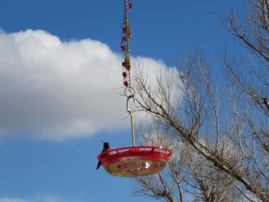 Aspects 8 oz High View Hummingbird Feeder On Hanging Sun Catcher Chain