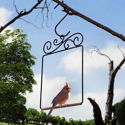 Hummingbird Swing Birdswing For Outside Bird Perch Feeder Accessory Metal Frame