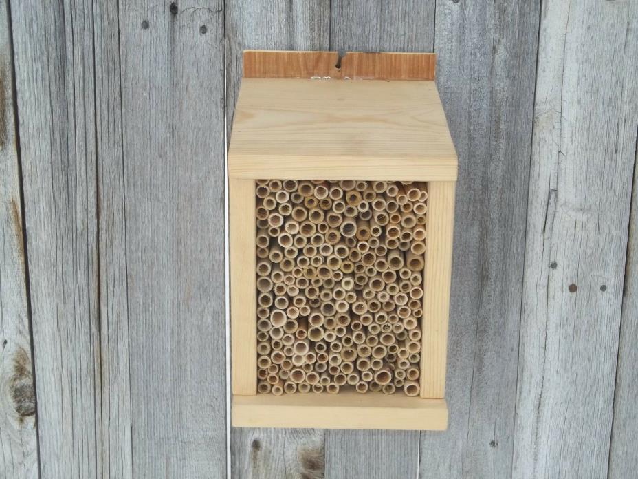 Ex-Large Reed  Mason Bee / 20 reeds of Mixed Mason Bees included