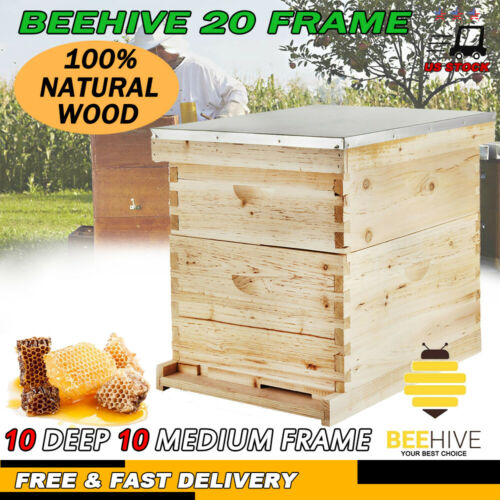 Beehive 20 Frame Complete Box Kit (10 Deep-10 Medium) Langstroth Beekeeping New