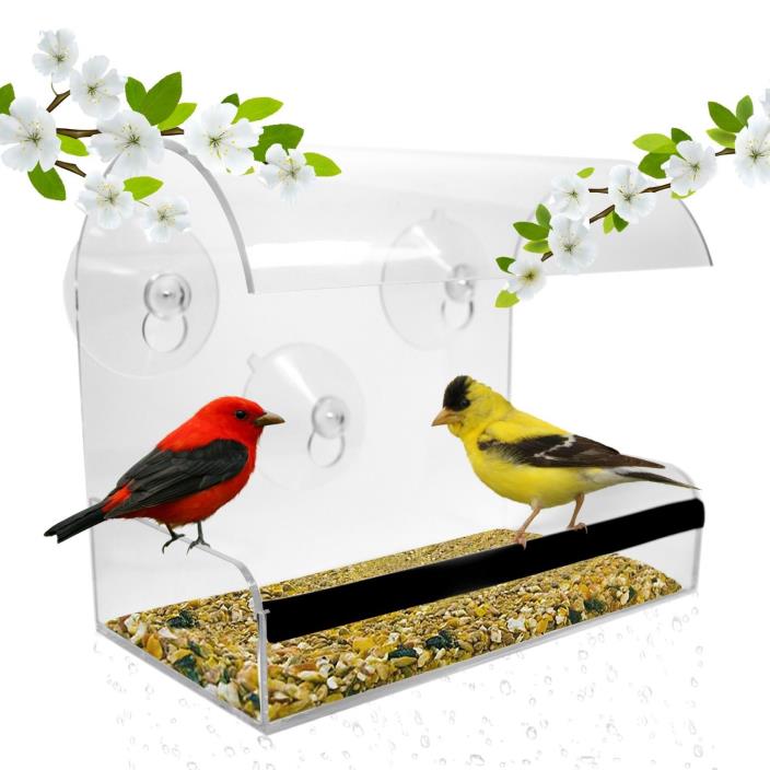 THE ORIGINAL Window Bird Feeder: large, durable, washable! FAST FREE SHIPPING!